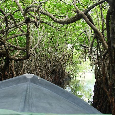 Lagoon Garden Hotel Beruwala Eksteriør bilde