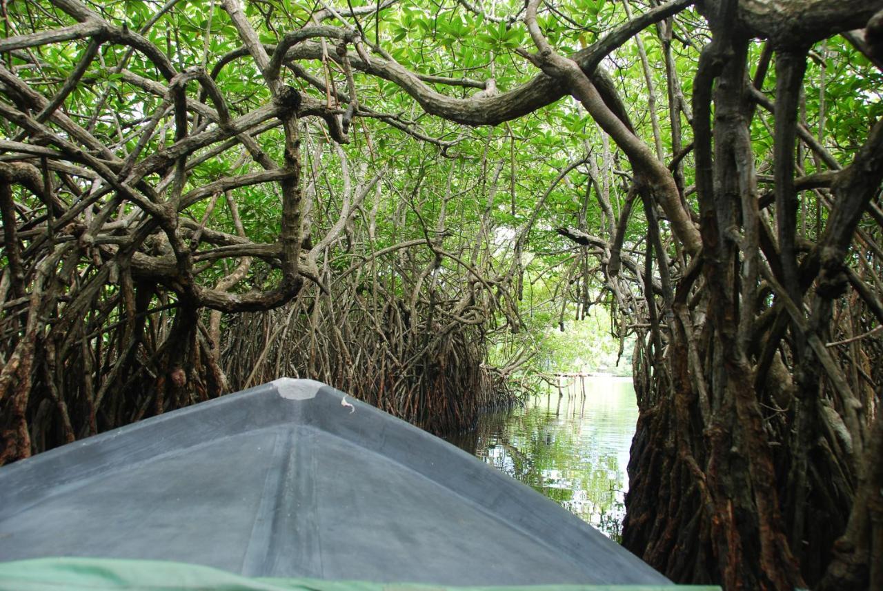 Lagoon Garden Hotel Beruwala Eksteriør bilde
